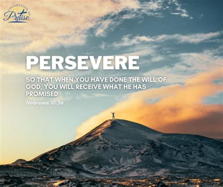 A Journey Of Promise, Perseverance, And Potential
